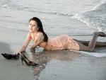 Free Pic